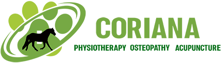 coriana.si